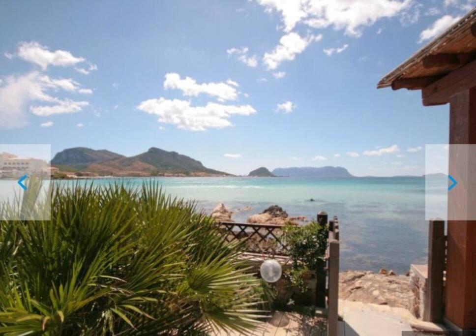 Apartment Pied Dans L'Eau غولفو أرانتْشي المظهر الخارجي الصورة